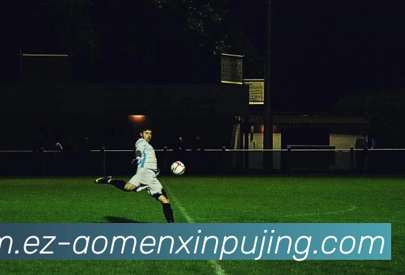 澳门新葡京娱乐发展历程